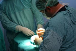 Dott. Filippini intervento di chirurgia percutanea mini-invasiva